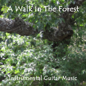Album A Walk in the Forest
